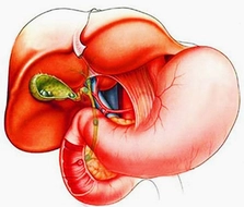 Safra Belirtileri ve Tedavisi