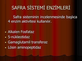 Safra Enzimleri Özellikleri ve Faydaları Nelerdir?