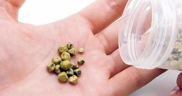 Safra Kesesi Taşı Belirtileri ve Tedavisi